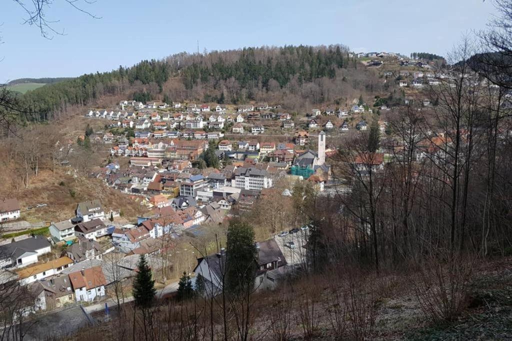 טריברג 2 Rooms Apartment In Triberg מראה חיצוני תמונה