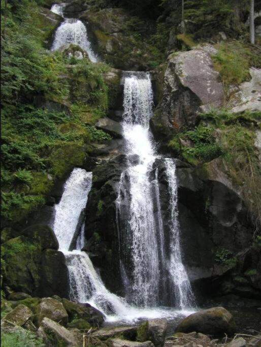 טריברג 2 Rooms Apartment In Triberg מראה חיצוני תמונה